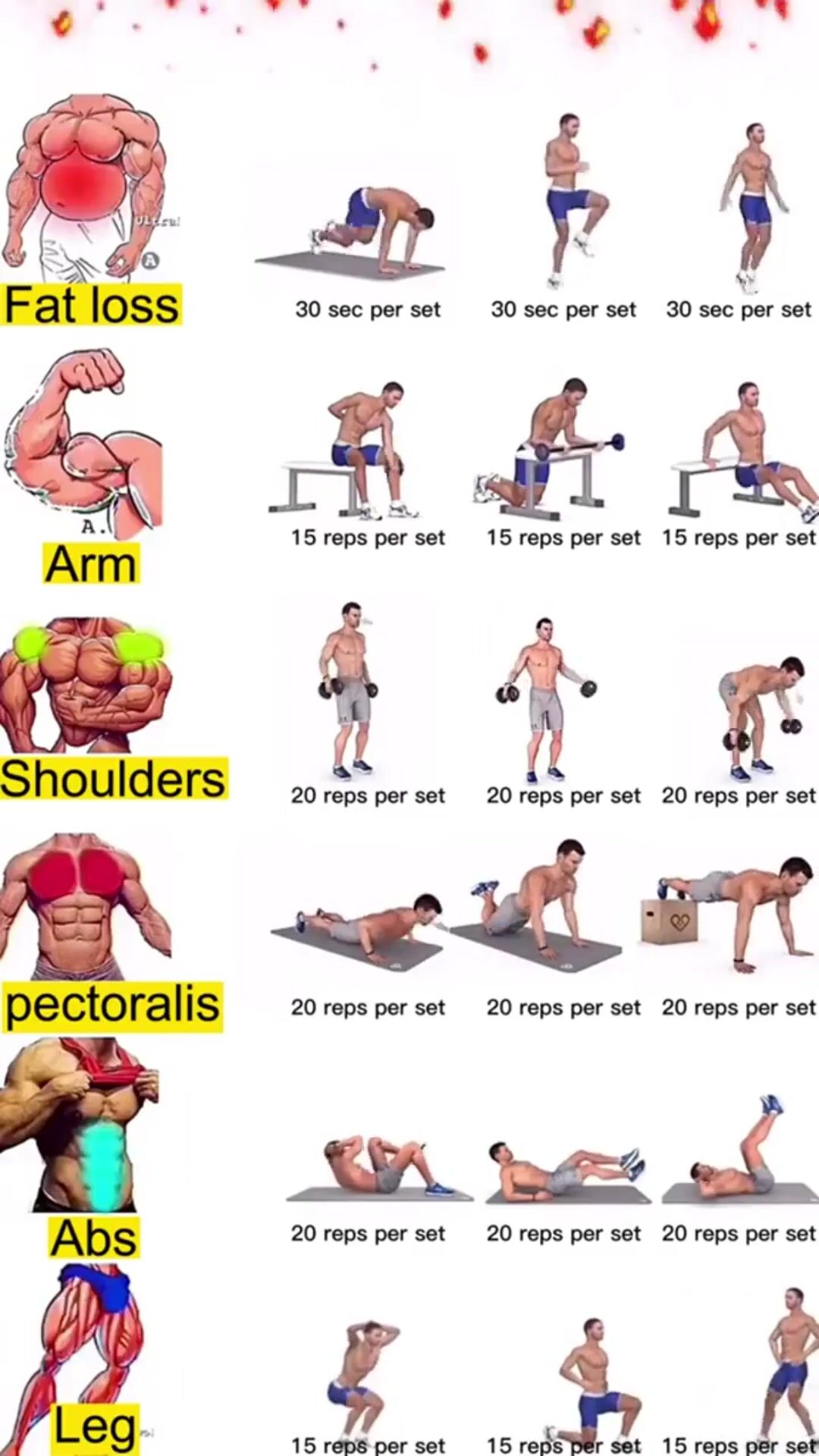 Workout routine for beginners to get started #process #gymlife #fitnesstrasformation #workout #fitness