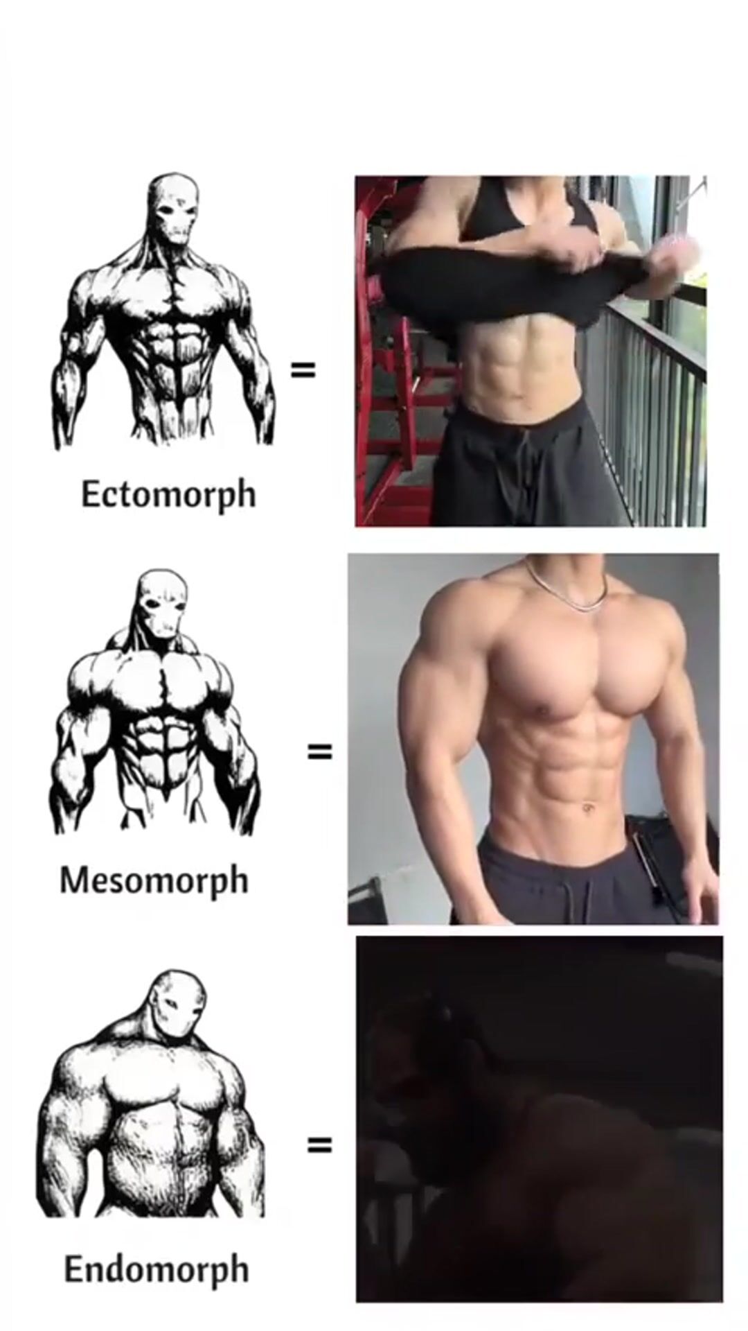DailyMotivation #workout #gymlife #fitnesstrasformation #process | DailyMotivation on GymLinx